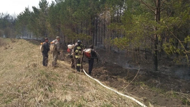 Пожарные борются с возгоранием сухой травы.