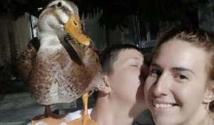 Утка Борислава.