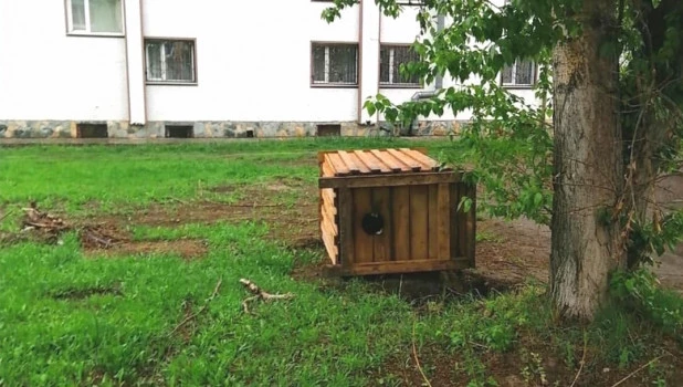 Перевернутый туалет в Заринске.