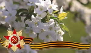 С любовью к ветеранам от Мельника.