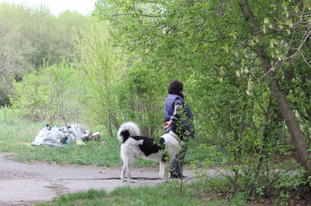 Парк "Юбилейный" в Барнауле.