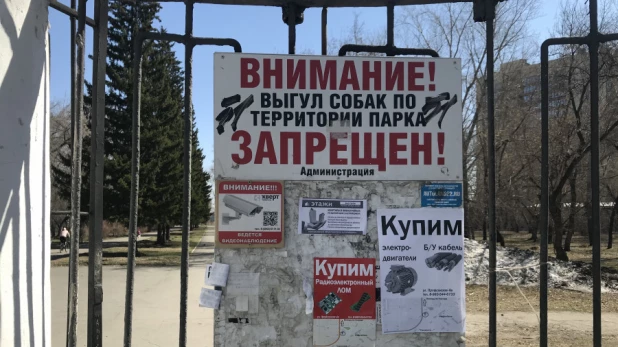 Парк "Изумрудный", весна 2020 год.