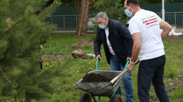 В Нагорном парке высадили молодые деревья и кустарники.