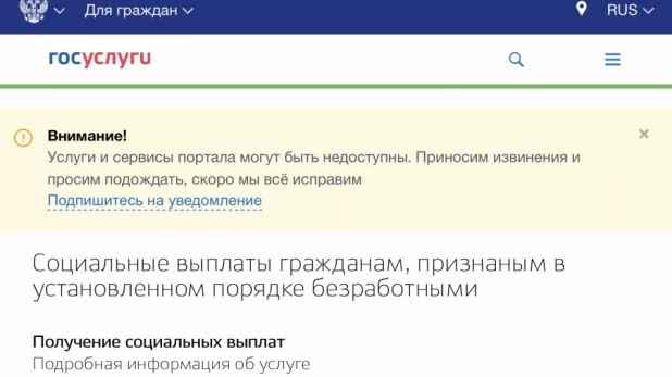 В работе сайта гоуслуги были сбои после объявления президентом новых мер подержки.