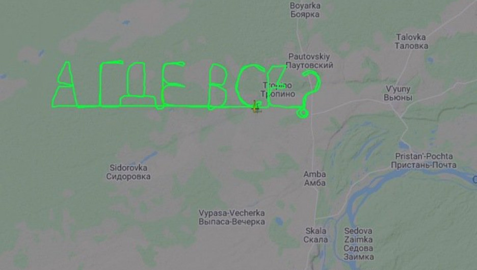Пилот "написал" "А где все?" в небе над Новосибирской областью.