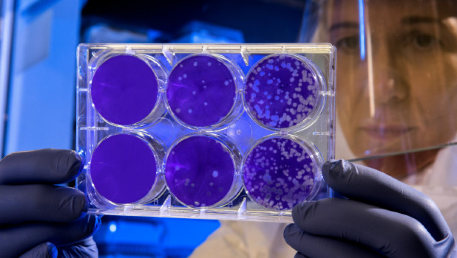 Ученые выяснили, сколько коронавирус может сохраняться в помещениях