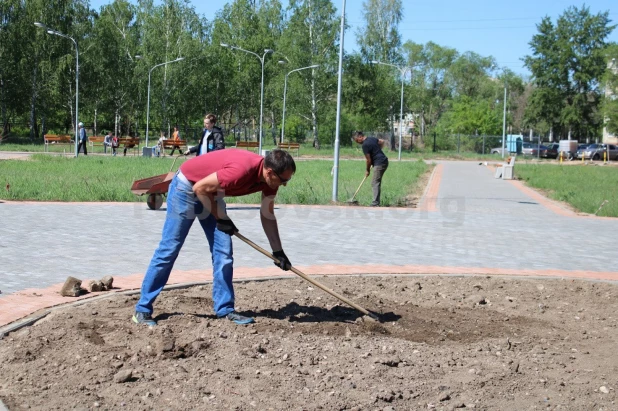 Субботник в Рубцовске.