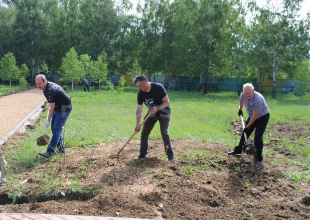 Субботник в Рубцовске.