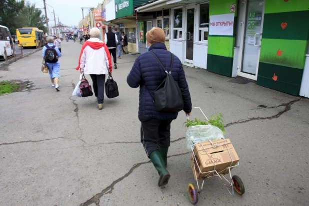 Дачники. Барнаул. 