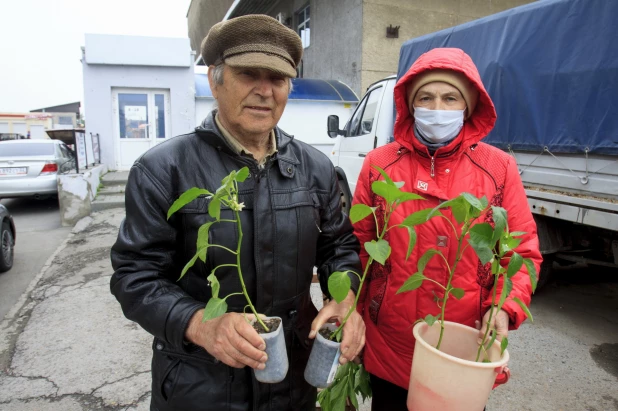 Дачники. Барнаул. 