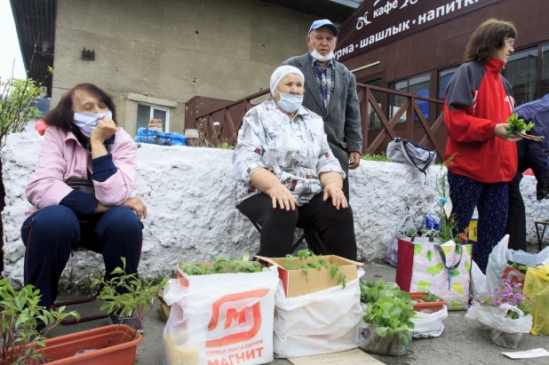 Дачники. Барнаул. 