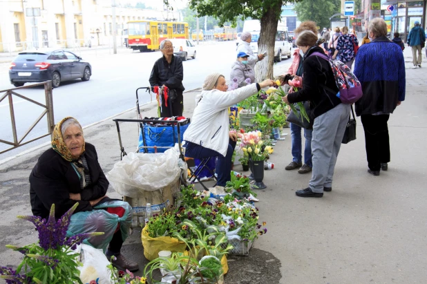 Дачники. Барнаул. 