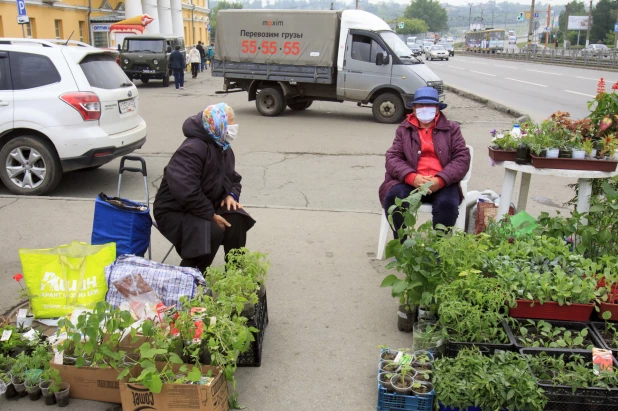 Дачники. Барнаул. 