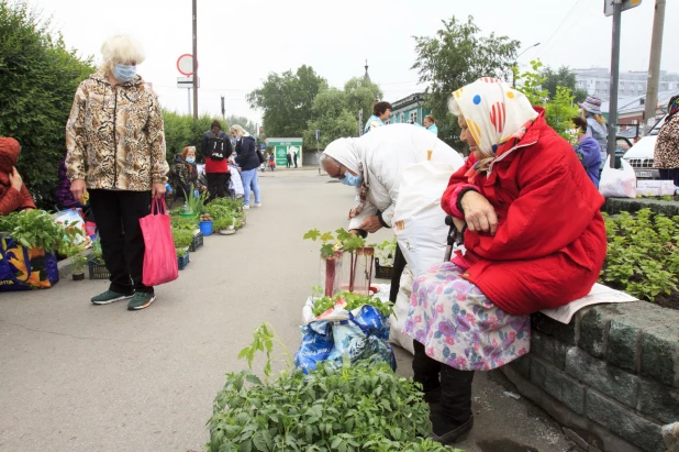 Дачники. Барнаул. 