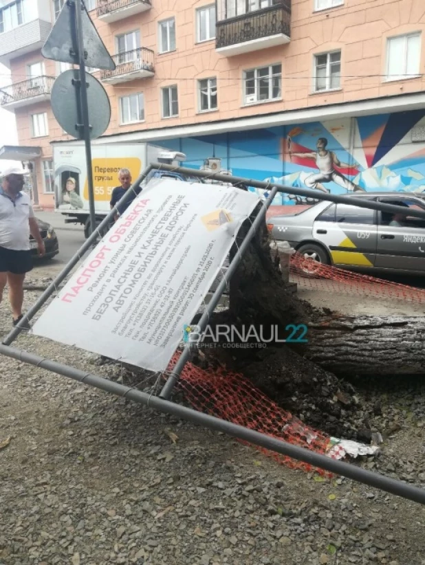 В Барнауле на машину рухнуло дерево.