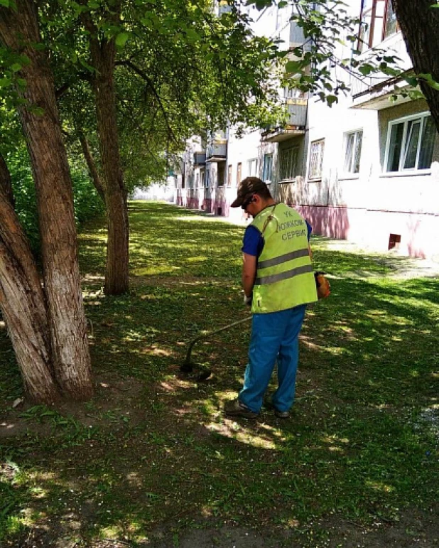 В Барнауле косят траву.