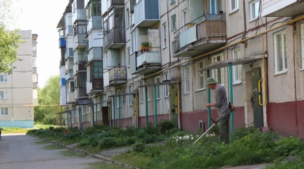 В Барнауле косят траву.