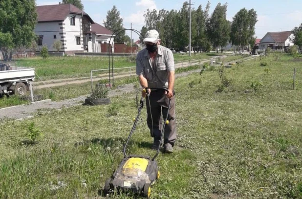 В Барнауле косят траву.