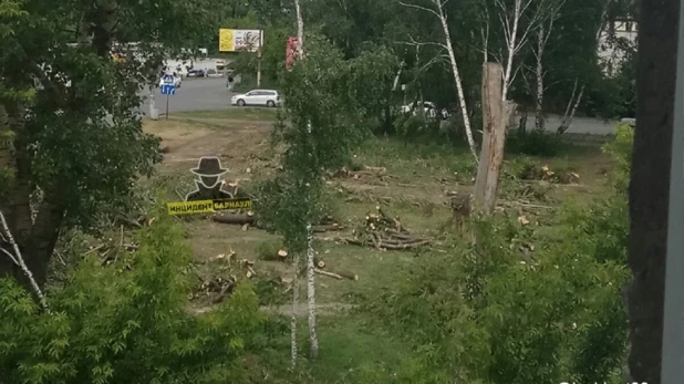 Вырубка парка в Новоалтайске.