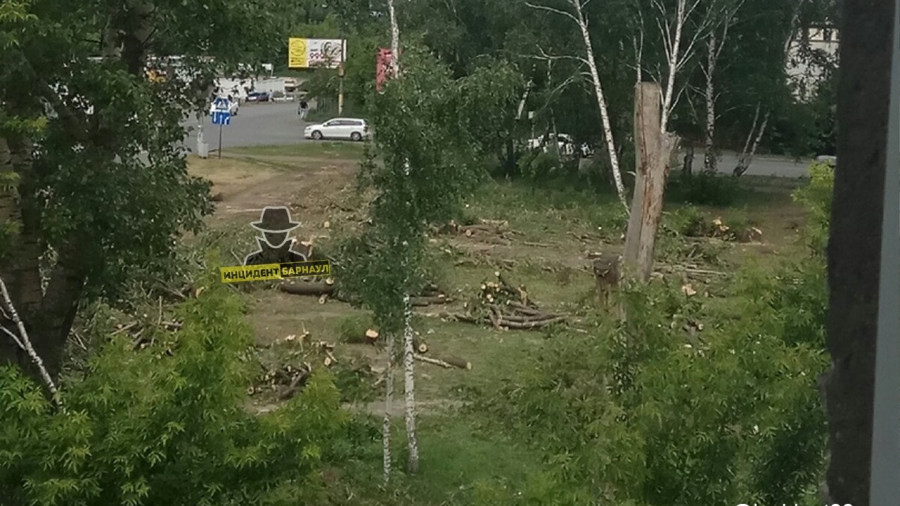 Вырубка парка в Новоалтайске.