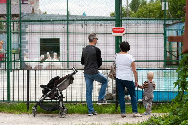 Барнаульский зоопарк вновь открылся для посетителей после снятие режима ограничений.