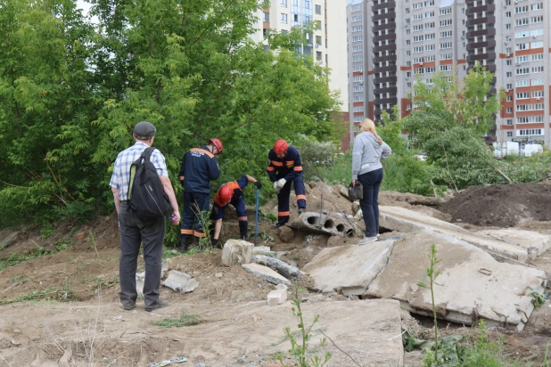 В Барнауле бетонная плита чуть не придавила щенков. 