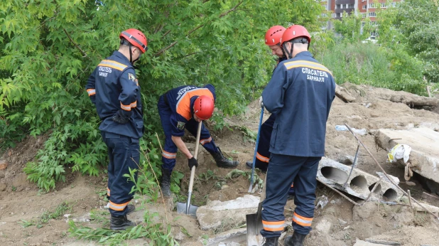 В Барнауле бетонная плита чуть не придавила щенков. 