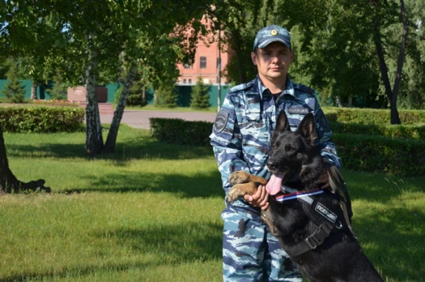 Полицейская собака помогла раскрыть кражу.