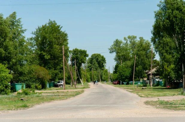 Село Покровка Локтевского района. 