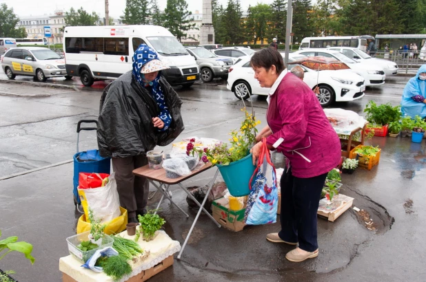 На барнаульских базарчиках продают клубнику нового урожая.