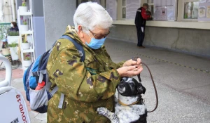 С 25 июня по всей стране началось досрочное голосование по поправкам в Конституцию России.