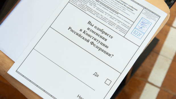 Общественные наблюдатели на голосовании по поправкам в Конституцию РФ.