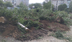Вырубка деревьев на улице Исакова. Июль 2020 года.
