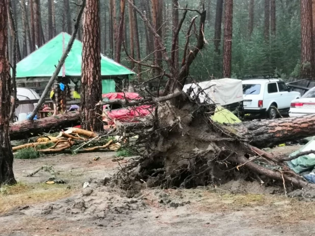 В Красноярске деревья упали на палаточный лагерь.