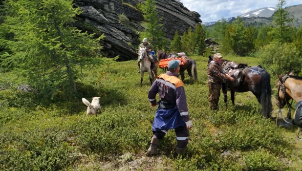 Спасатели МЧС на лошадях.