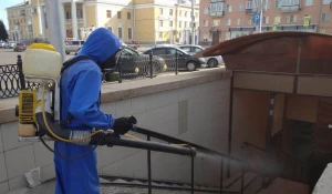 Дезинфекция в Барнауле.