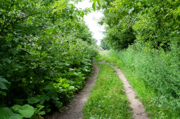 Село Новоповалиха, Первомайский район.