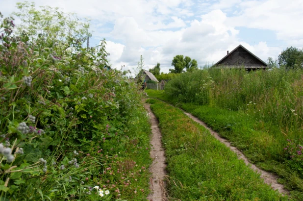 Село Новоповалиха, Первомайский район.