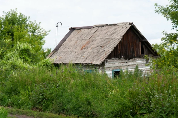 Село Новоповалиха, Первомайский район.