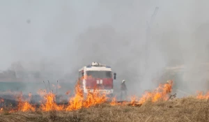 Природные пожары.