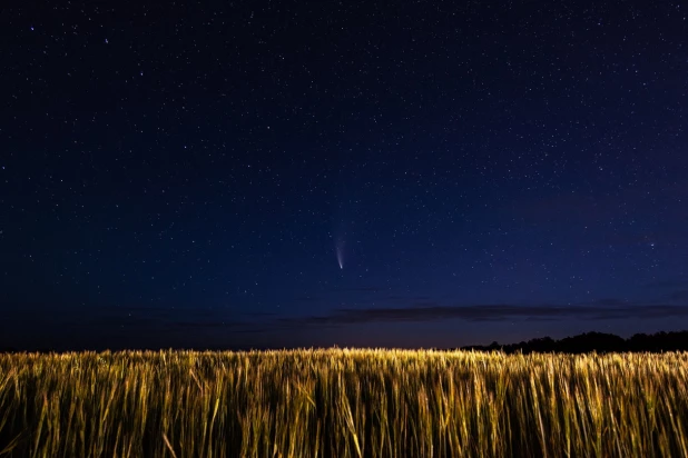 Комета Neowise.