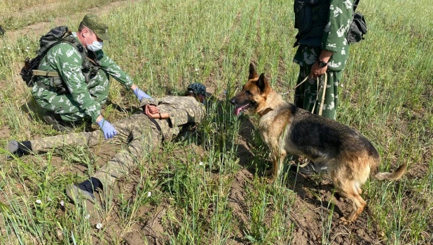 Задержание нарушителя на границе.