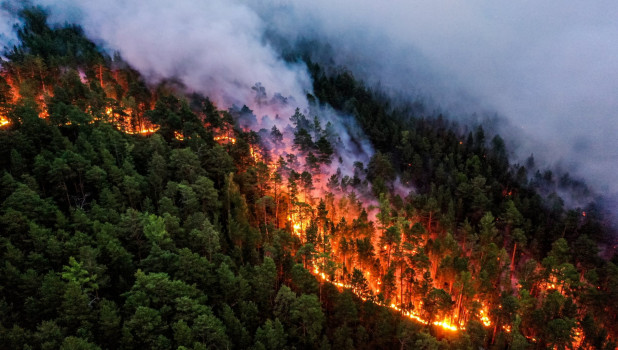 Лесной пожар в Красноярском крае.