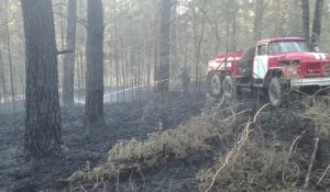 Лесные пожары в Алтайском крае.