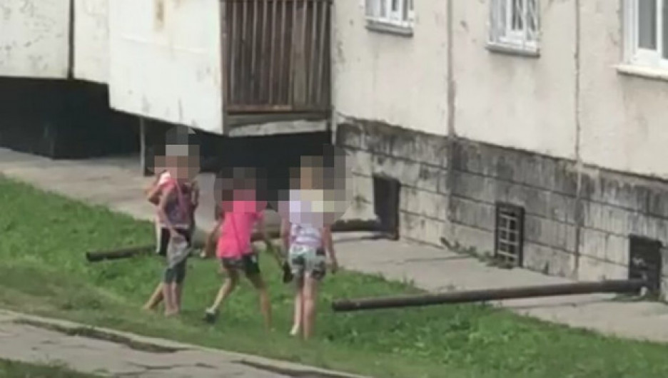 В Заринске сняли на видео, как дети забивают голубя камнями и бутылками