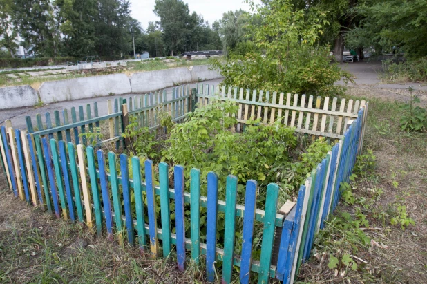 Что происходит в барнаульском парке "Изумрудный". 