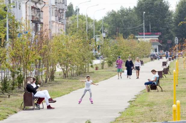 Что происходит в барнаульском парке "Изумрудный". 