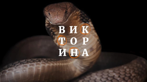 Викторина.