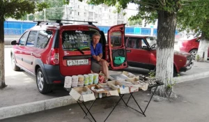 Несанкционированная торговля в Барнауле.