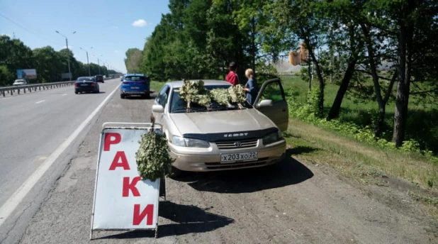 Несанкционированная торговля в Барнауле.